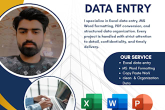 provide professional data entry, excel data management, and ms office support