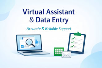do accurate data entry and virtual assistant