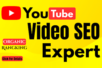 professional youtube SEO expert for video ranking promotion