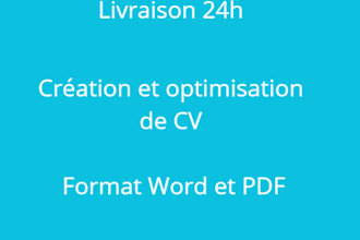 professional CV review and improvement for job applications