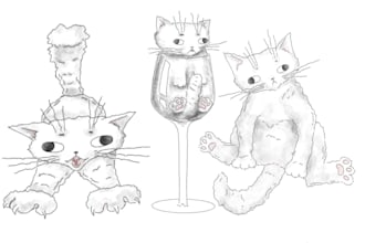 draw you a silly cat