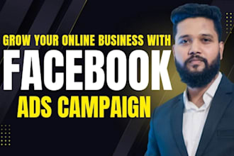 set up and manage facebook, instagram ads campaign for your online business
