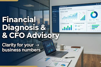 provide financial diagnosis and profitability analysis for your business