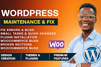 fix wordpress bugs, fix wordpress issues, fix wordpress error and support