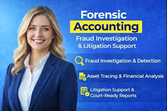 provide forensic accounting and fraud investigation services,US,UK,tax