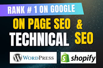 pro on page SEO and technical fixes for first ranking
