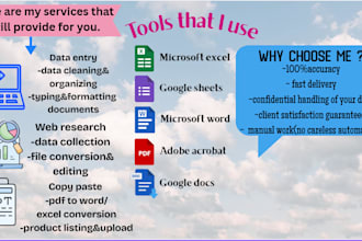 do efficient data entry, web research, and copy paste work