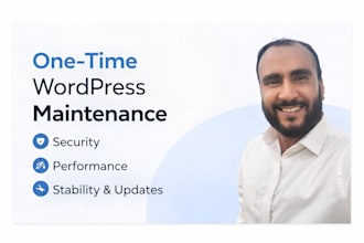 provide wordpress maintenance and consultation