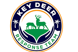 design a professional nonprofit logo