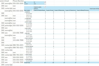 clean, format, and organize excel spreadsheet