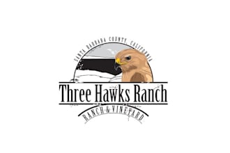 design extraordinary three hawks ranch logo