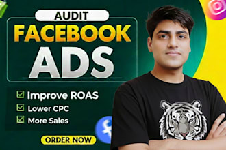 audit and review your meta ads to improve roas