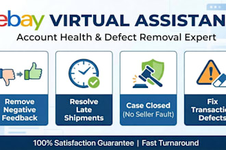 be your professional ebay virtual assistant