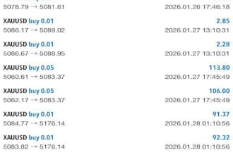 deliver profitable forex ea bot, forex trading bot, forex ea robot, semi hft bot