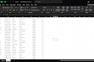 exel data entry and spreadsheet formatting