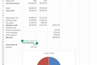 provide ecommerce profit and loss financial statement