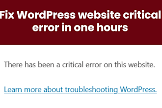 fix critical error from wordpress website in one hours