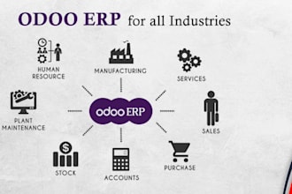 implement odoo erp, develop custom modules, fix errors, and integrate API