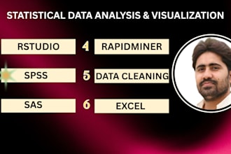 do statistical data analysis using spss, rstudio, sas, excel