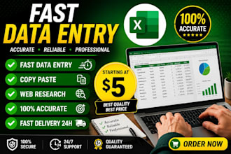 do accurate data entry, copy paste and web research