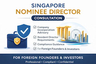 provide nominee director consultation for singapore company incorporation