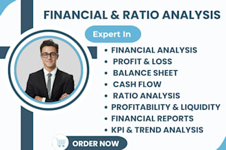 do financial analysis, p and l, balance sheet, cash flow, and ratios analysis