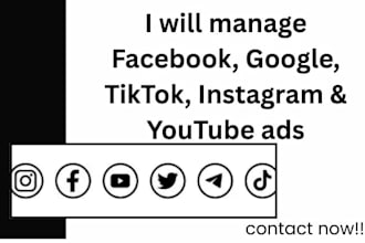 manage facebook, google, tiktok, instagram and youtube ads