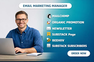 do organic substack promotion page newsletter increase substack subscribers