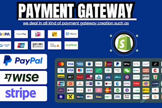 setup, integrate stripe, paypal, shopify payment for your website