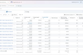 manage your e commerce marketing via paid ads