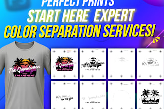 do professional color separation for screen print, vector and dtg