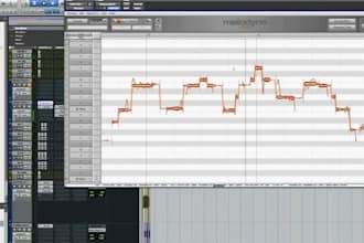 naturally clean, restore, mix, process and enhance your vocal for radio ready