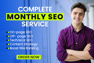 monthly local ai SEO service website audit on page off page backlinks technical