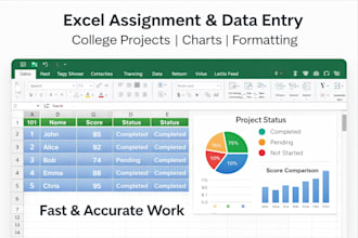 do excel assignment, data entry and charts for students