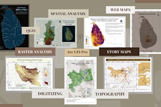 provide professional gis mapping, spatial analysis, and remote sensing services