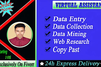 professional data entry services