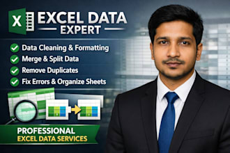 clean, format, merge, and split excel data professionally