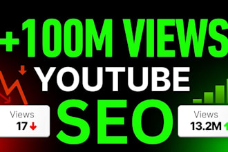 do professional you tube SEO to rank your videos