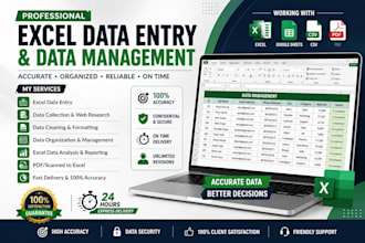 1 expert excel and word data entry plus income tax and gst returns