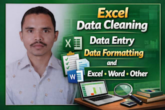 data cleaning , PDF to excel, excel to PDF