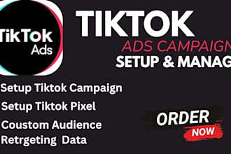 run tik tok marketing , tik tok ads and tik tok manager