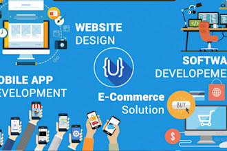 do software development, custom website backend, front end web developer