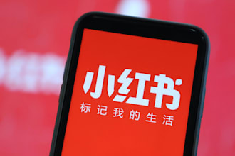 consistenly grow your xiaohongshu to enter the chinese market