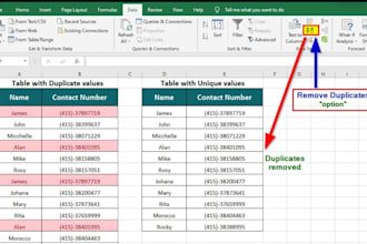 accurate data cleaning, formatting, and error fixing
