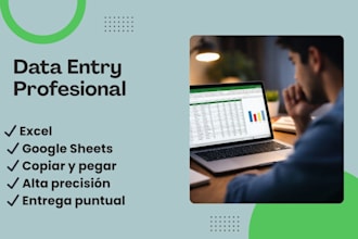 haré data entry en google sheets y excel