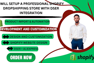 set up a professional shopify dropshipping store with dsers integration