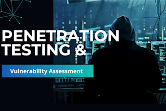 do penetration test on your website and provide test result