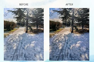professionally color grade your photos in lightroom