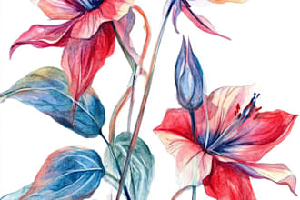 make botanical product illustration