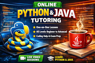 tutor python and java